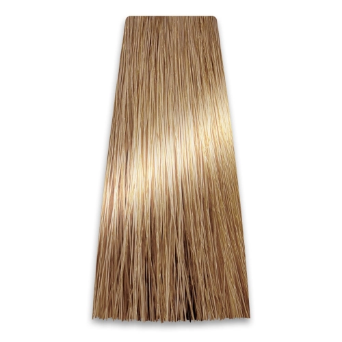 Prosalon Professional Intensis Color Art Profesjonalna Farba Do Włosów Nr 9.0 Jasny Blond 100g